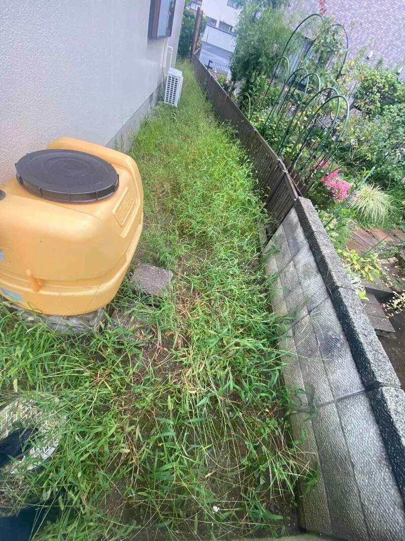 before画像