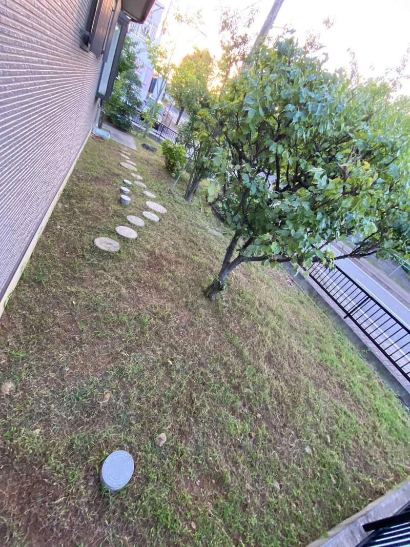 after画像
