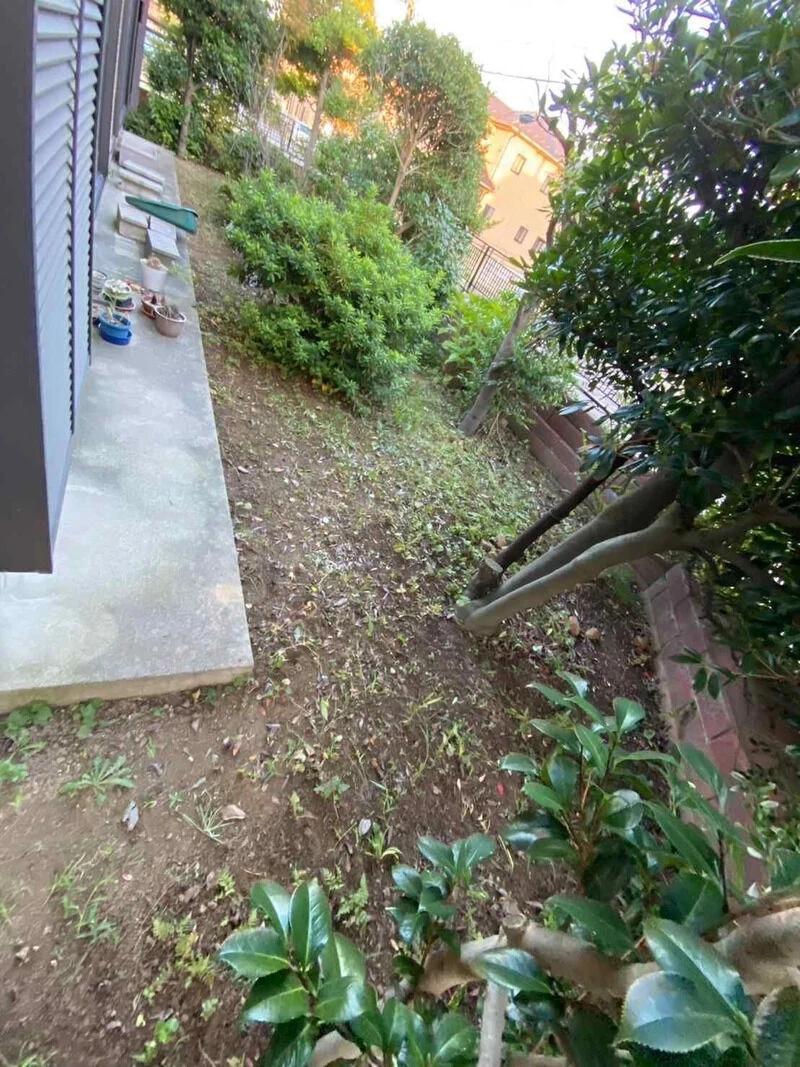 before画像