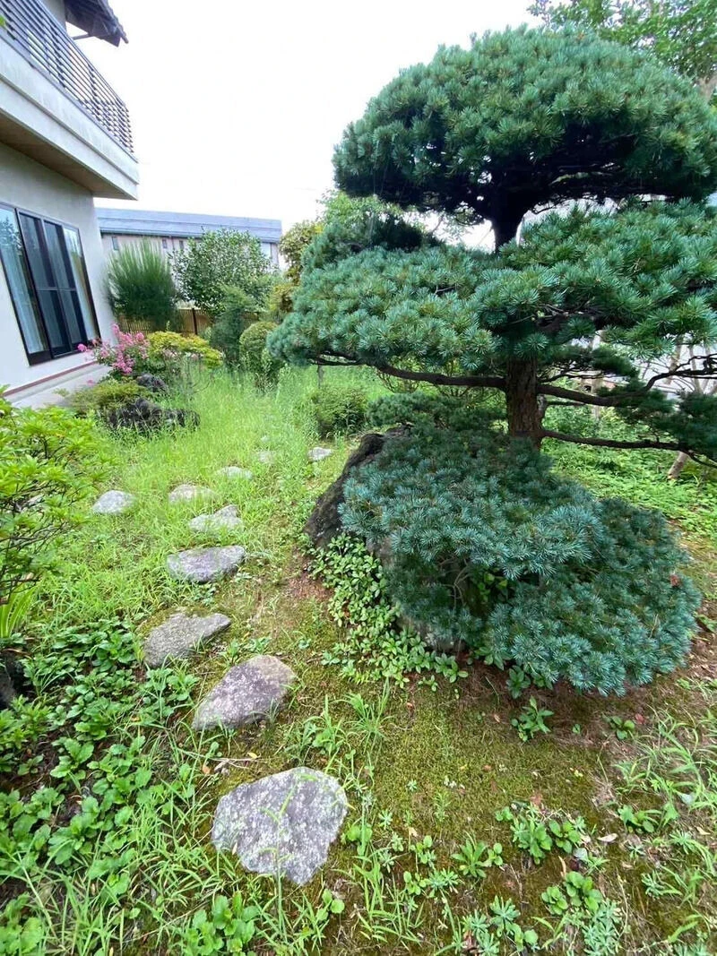 before画像